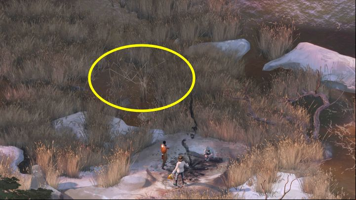 The phasmid will appear in the grass north of you while trying to move away from the campfire and head back to the boat with the Deserter - Disco Elysium: Inspect the phasmid - walkthrough - Ruby and the shooter - Disco Elysium Guide