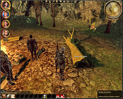 The game will now inform you that youve been able to figure out where to look for the treasure - Dragon Age Origins: Sign on the Chasind trail - Korcari wilds - Dragon Age: Origins Game Guide