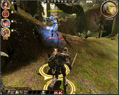 After youve dealt with standard enemy units youll also have to get rid of a mini-boss carrying a bow - Assassin leader - Dragon Age Origins: Lelianas past - Followers quests - Dragon Age: Origins Game Guide
