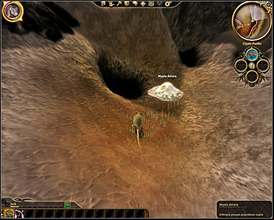 Start off by transforming yourself into a mouse and use a nearby mouse hole to travel to a different location - Dragon Age Origins: Lost in dreams - Main quests - Dragon Age: Origins Game Guide