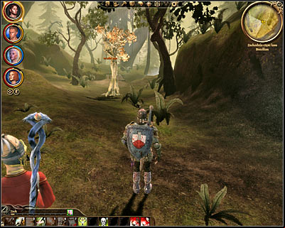 You will be allowed to talk to the Grand Oak once its safe again and itll probably take you a while to fully understand what the tree is trying to tell you - Dragon Age Origins: Nature of the beast - Main quests - Dragon Age: Origins Game Guide