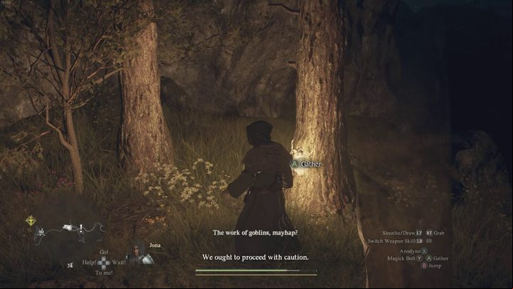 5 - Dragons Dogma 2: Interactive map - Basics - Dragons Dogma 2 Guide