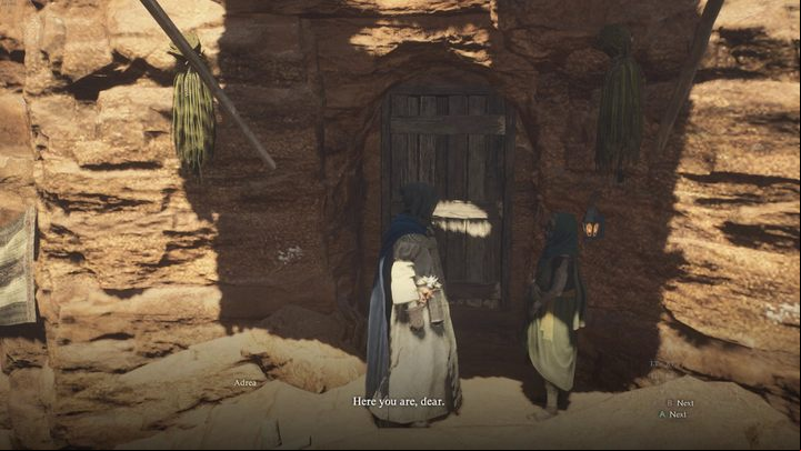 Adrea will ask for 30,000 gold - Dragons Dogma 2: How to buy a house? - Quests - Dragons Dogma 2 Guide