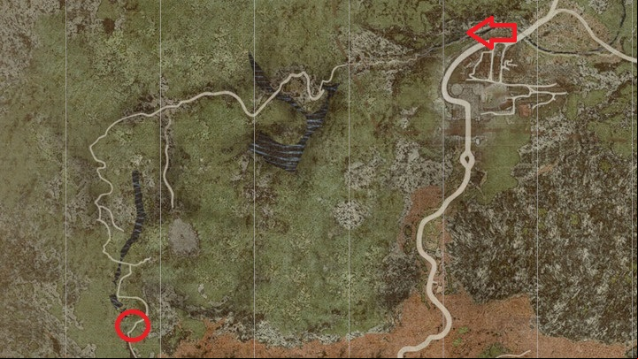 5 - Dragons Dogma 2: How to cross the border? - Exploration - Dragons Dogma 2 Guide