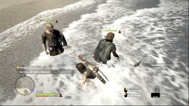 You can catch fishes with bare hands. Pawns will help you. - Preliminary information - Pawns - Dragons Dogma - Game Guide and Walkthrough