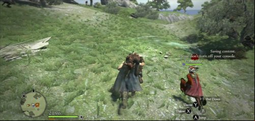 On the hill, the soldiers will hide in bushes - Griffins Bane - Act III - Dragons Dogma - Game Guide and Walkthrough