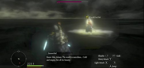If you chose to continue the battle, face the Seneschal and his Pawn (with the help of your own) - Final Judgement - Act VII - Dragons Dogma - Game Guide and Walkthrough