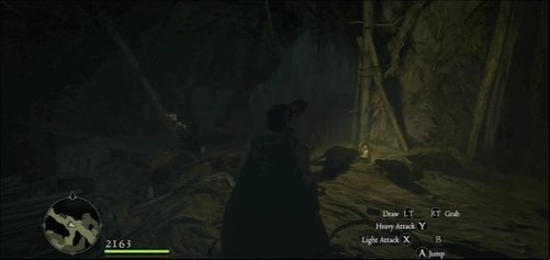 Turn left at the fork and jump down after you reach a larger chamber (with water) - Deep Trouble - Act I - Dragons Dogma - Game Guide and Walkthrough
