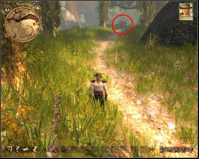 to keep a reasonable distance. You do not have to hurry, you always catch up with ox. - Nadoret - for Rogues - p. 2 | Main quests - Main quests - Drakensang: The River of Time Game Guide