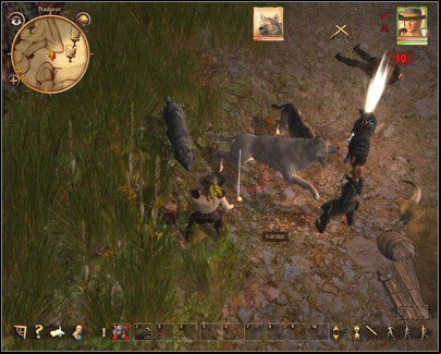 Kill all the wolves and the bloody wolf - Nadoret - for Rogues - p. 2 | Main quests - Main quests - Drakensang: The River of Time Game Guide