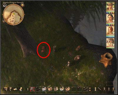 A treasure is hidden under the tree. - Customs Stronghold | Side quests - Side quests - Drakensang: The River of Time Game Guide