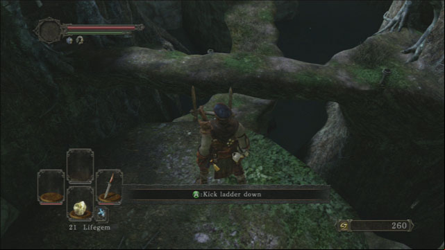 Kick the ladder - Things Betwixt - Walkthrough - Dark Souls II - Game Guide and Walkthrough