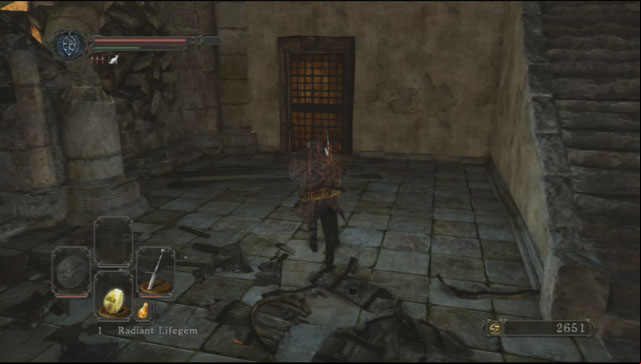Open the door. - Forest Of The Fallen Giants - Lets move on - Walkthrough - Dark Souls II - Game Guide and Walkthrough