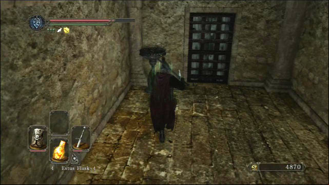 Open the door - Brightstone Cove Of Tseldora - campsite - Walkthrough - Dark Souls II - Game Guide and Walkthrough