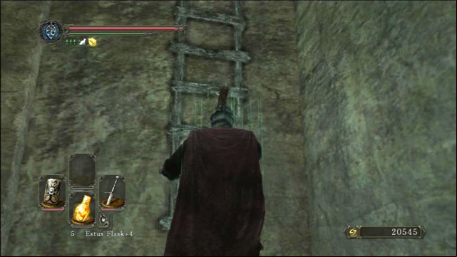 Use the ladder - Brightstone Cove Of Tseldora - Queens Lair - Walkthrough - Dark Souls II - Game Guide and Walkthrough