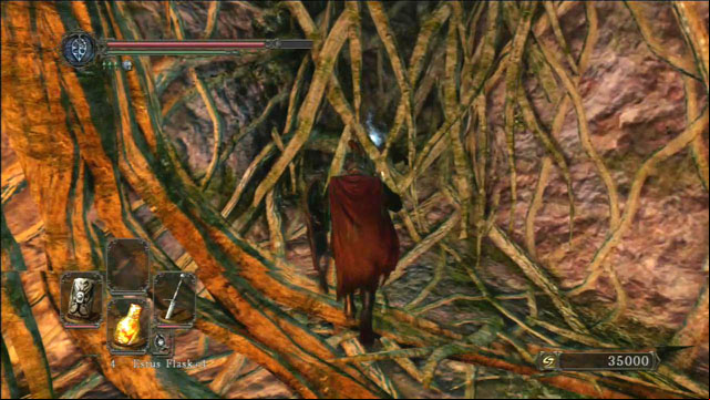 Destroy the vines - Shrine Of Amana - Walkthrough - Dark Souls II - Game Guide and Walkthrough