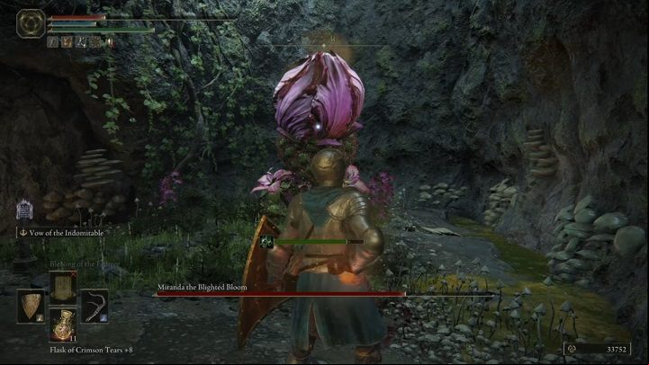 There will also be a moment where Miranda will charge a spell (curling her petals) and then explode with a cloud of poison gas - Elden Ring: How to beat Miranda, the Blighted Bloom? - Weeping Peninsula - Elden Ring Guide