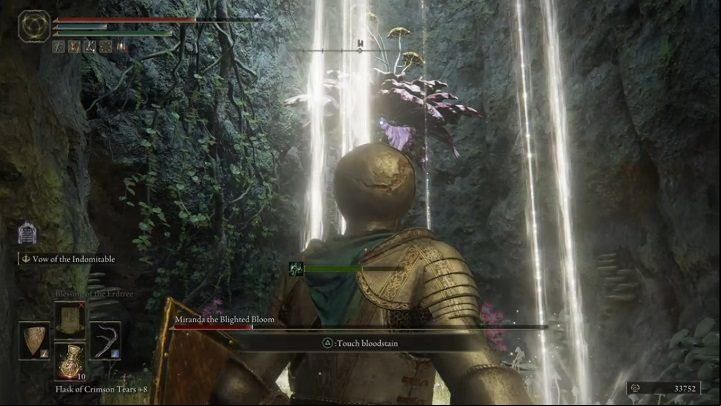 The fight with Miranda isn't divided into phases - Elden Ring: How to beat Miranda, the Blighted Bloom? - Weeping Peninsula - Elden Ring Guide