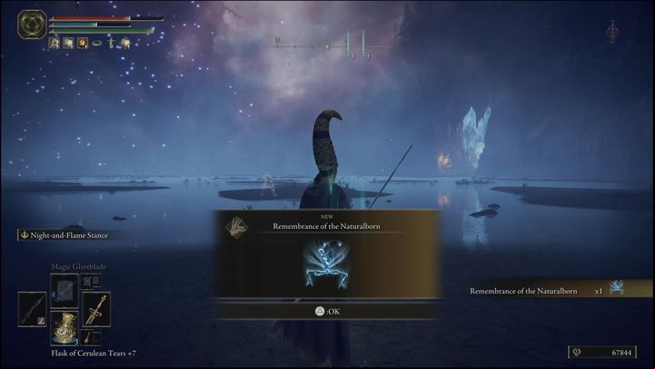For defeating Astel, Naturalborn of the Void, you will receive the Remembrance of the Naturalborn and 80,000 Runes - Elden Ring: How to beat Astel, Naturalborn of the Void? - Lake of Rot - Elden Ring Guide