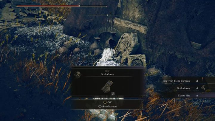 After you emerge victorious, make sure to collect all the items left by Dane - Shadow of the Erdtree: Dryleaf Dane quest walkthrough - Quests - Elden Ring Guide