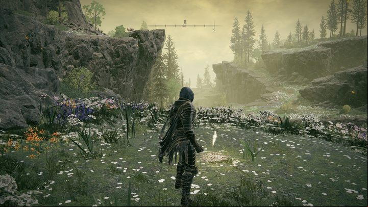 Unlike the basic version of Elden Ring, Shadow of the Erdtree DLC contains essentially one story ending - How many endings does Shadow of the Erdtree have? - FAQ - Elden Ring Guide