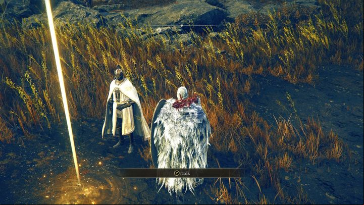 However, the player is not deprived of any choice in the context of the narrative - How many endings does Shadow of the Erdtree have? - FAQ - Elden Ring Guide