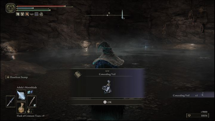 For defeating the final version of the boss, which is located in the Altus Plateau, you will receive the Concealing Veil talisman and 9000 Runes - Elden Ring: How to beat Black Knife Assassin in Altus Plateau? - Altus Plateau - Elden Ring Guide