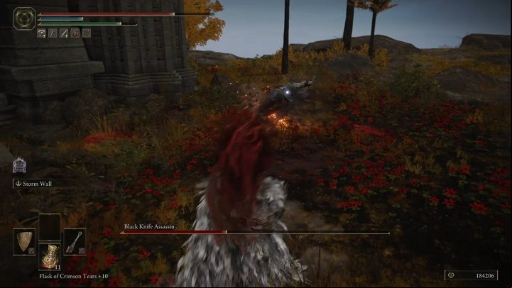 The enemy also likes to point his dagger to the ground and run around the area - Elden Ring: How to beat Black Knife Assassin in Altus Plateau? - Altus Plateau - Elden Ring Guide