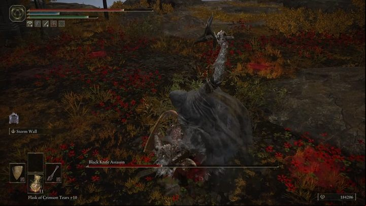 There is also a possibility that the enemy manages to grab you during the fight - Elden Ring: How to beat Black Knife Assassin in Altus Plateau? - Altus Plateau - Elden Ring Guide