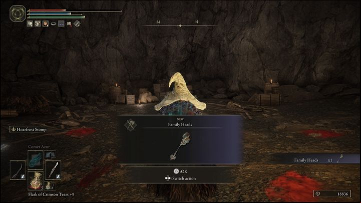 For defeating the Necromancer Garris, you will obtain the Family Heads flail and 9000 Runes - Elden Ring: How to beat Necromancer Garris? - Altus Plateau - Elden Ring Guide