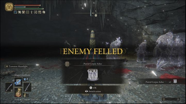 For defeating the boss version in Caelid, you will receive Putrid Corpse Ashes and 6700 Runes - Elden Ring: How to beat Grave Warden? - Limgrave - Elden Ring Guide
