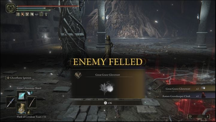 By defeating the last version of the boss, which is located in the Consecrated Snowfield, you will receive a Great Grave Glovewort x2, Rotten Gravekeeper Cloak, and 80,000 Runes - Elden Ring: How to beat Grave Warden? - Limgrave - Elden Ring Guide