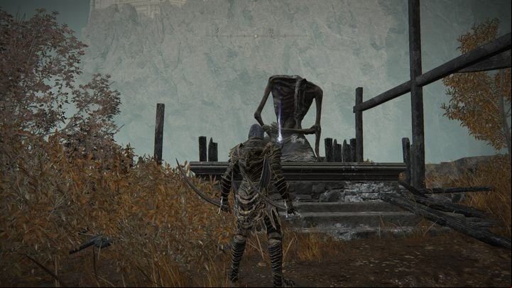 Near the cliff - Shadow of the Erdtree: All Revered Spirit Ashes map - Secrets and Collectibles - Elden Ring Guide
