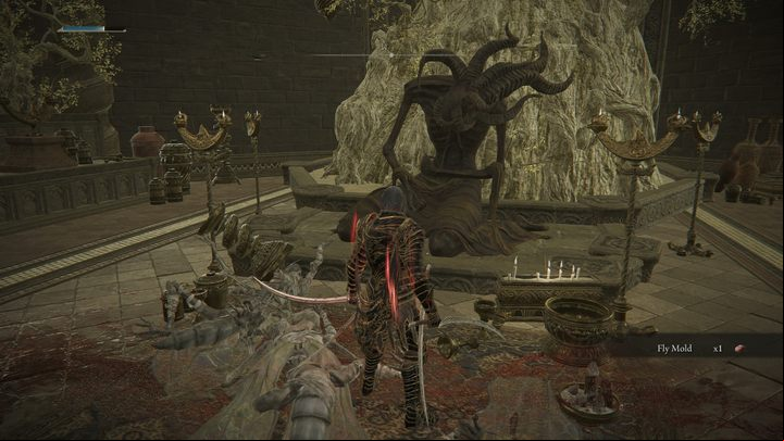 From the open courtyard (the one where the previous Ashes are located), head down the stairs - Shadow of the Erdtree: All Revered Spirit Ashes map - Secrets and Collectibles - Elden Ring Guide