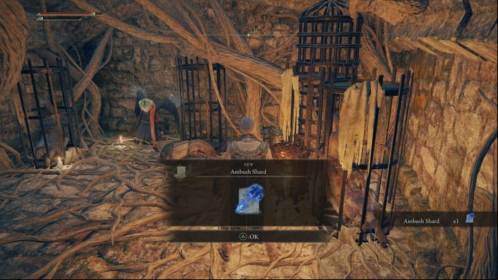 Travel to the area marked on your map - Elden Ring: Weeping Peninsula Sorceries and Incantations - locations - Weeping Peninsula - Elden Ring Guide