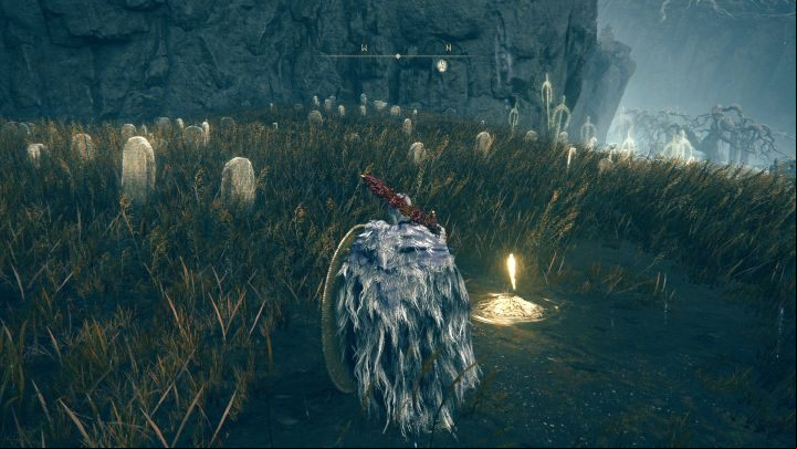 After crossing the portal leading to the Land of Shadow, your character will end up in the open space of the Gravesite Plain - Shadow of the Erdtree: Where to go first? - FAQ - Elden Ring Guide