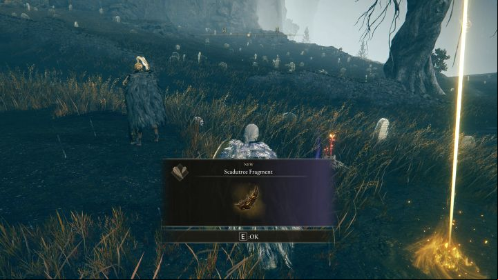 Scadutree Fragment are extremely important collectibles that increase the Scadutree Blessing - Shadow of the Erdtree Interactive map - Shadow of the Erdtree DLC - Elden Ring Guide