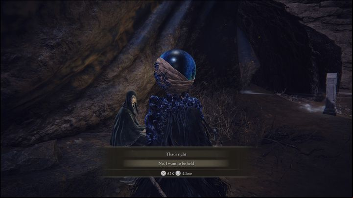 Then, when you reach the very end of the location, you will have to fight Fia's Champions - Elden Ring: Fia - walkthrough - Quests - Elden Ring Guide