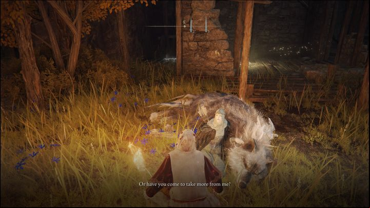 Defeating the boss unlocks another area, the aforementioned shed - Elden Ring: Latenna, the Albinauric - walkthrough - Quests - Elden Ring Guide
