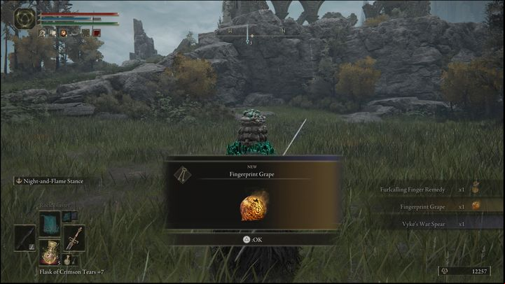 The fourth grape is received after defeating Vyke - Elden Ring: Hyetta - walkthrough - Quests - Elden Ring Guide