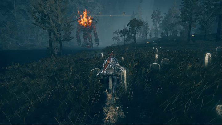 There's basically a small open space separating you from the target region - Shadow of the Erdtree: How to reach the Cerulean Coast? - Secret locations - Elden Ring Guide