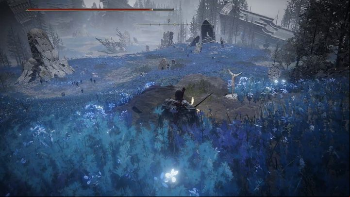 After ing under the rock arch, you will finally reach the desired region - Shadow of the Erdtree: How to reach the Cerulean Coast? - Secret locations - Elden Ring Guide