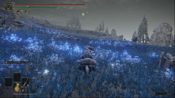 At the southern end of the Cerulean Coast, on a small promontory, The Fissure is waiting for you - a characteristic location leading to an undersea cave system - Shadow of the Erdtree: How to reach the Cerulean Coast? - Secret locations - Elden Ring Guide