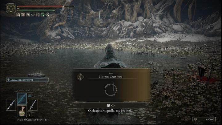 For defeating Malenia, Blade of Miquella, you will receive Runes (480,000), the Remembrance of the Rot Goddess and Malenia's Great Rune - Elden Ring: How to beat Malenia, Blade of Miquella? - Miquellas Haligtree - Elden Ring Guide