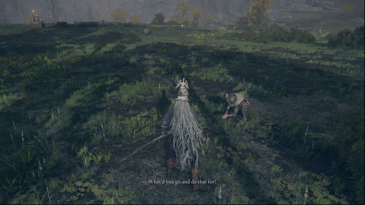 When you do this, the tree will transform into a demi-human - Elden Ring: Boc the Seamster questline - walkthrough, solution - Quests - Elden Ring Guide