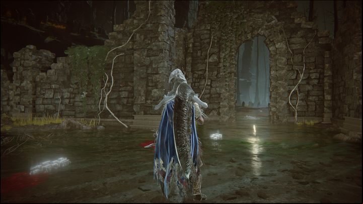 This is the first Site of Grace you will find in the Abyssal Woods - Shadow of the Erdtree: All Sites of Grace in minor regions map - Secrets and Collectibles - Elden Ring Guide