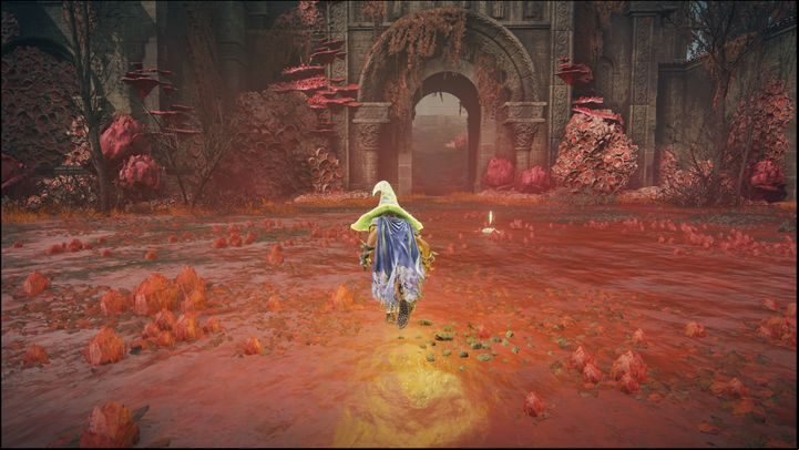 This Site of Grace is located in the boss arena of Romina, Saint of the Bud - Shadow of the Erdtree: All Sites of Grace in minor regions map - Secrets and Collectibles - Elden Ring Guide