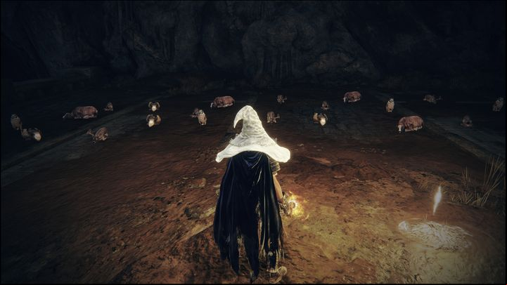 The Site of Grace is located before the Putrescent Knight boss arena - Shadow of the Erdtree: All Sites of Grace in minor regions map - Secrets and Collectibles - Elden Ring Guide
