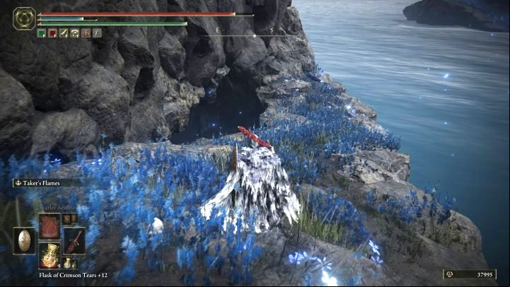 Reach the southwestern part of the region - Shadow of the Erdtree: All dungeons, catacombs and caves - Secret locations - Elden Ring Guide