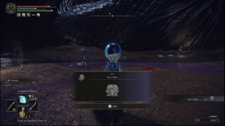 For defeating the Fia's Champions, you will receive Runes (40,000) and the Fia's Mist spell - Elden Ring: How to beat Fias Champions? - Deeproot Depths - Elden Ring Guide